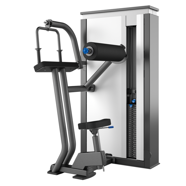 Ergo-Fit Vector Triceps Extension